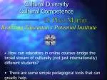 Amazon.ca: cultural proficiency