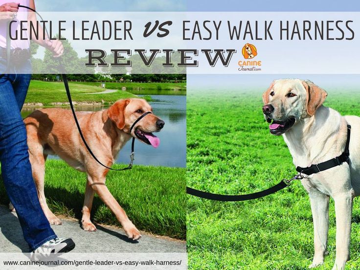 Gentle Leader Easy Walk Harness Dog Walking Aid