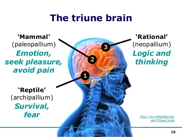 Critical Thinking and Emotional Intelligence