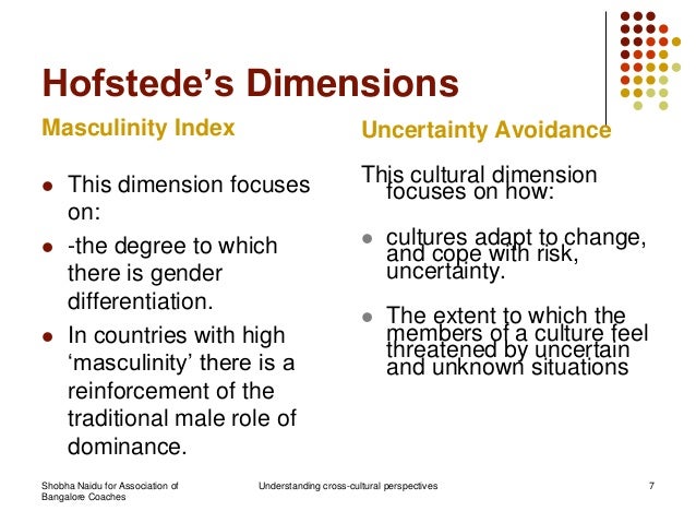 Lecture Notes Cross-Cultural Leadership Sloan School