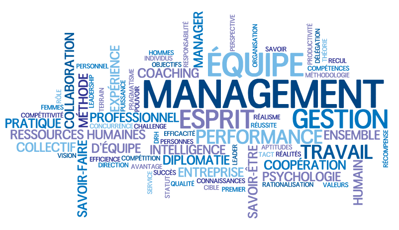 Les 8 styles de leadership Nutcache