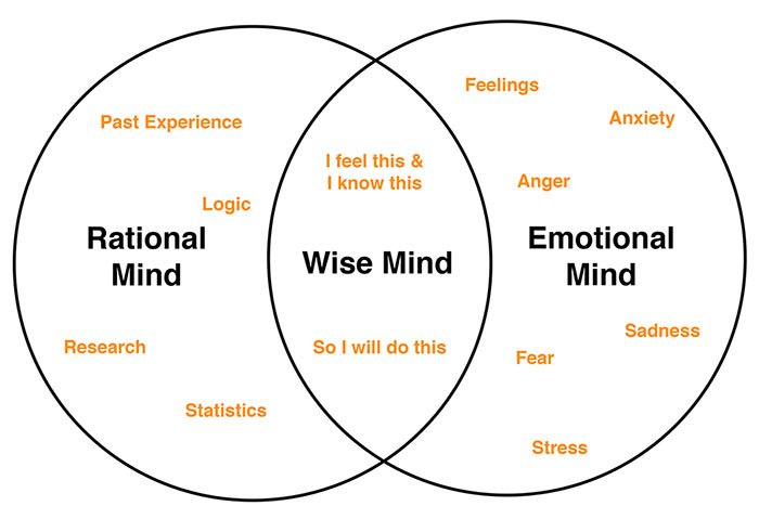 Emotional versus rational lynda.com