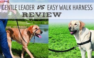 Easy Walk® Harness PetSafe