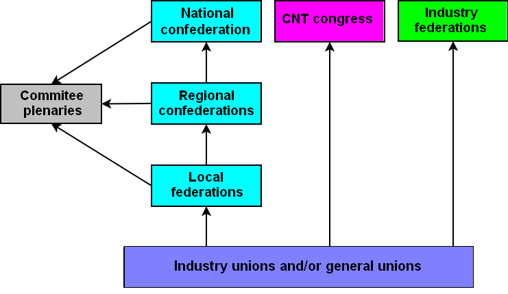 Autocratic and Democratic Leadership Essay Example for Free